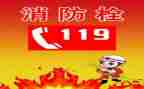 小学119消防日活动方案优秀7篇