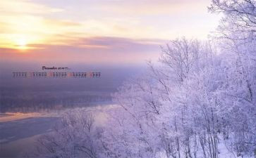 12月教师工作总结8篇