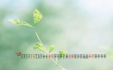 12月活动总结推荐5篇