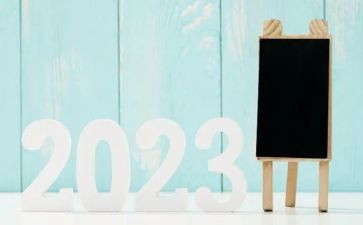 2023年财务个人述职报告通用7篇