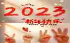 2023年工会财务自查报告8篇