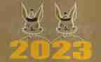2023年财务周工作计划推荐7篇
