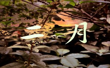 2月的工作计划优秀6篇