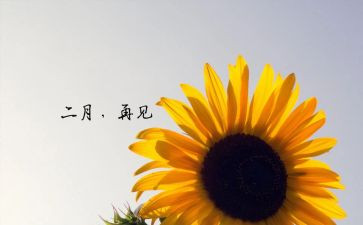 2月份的工作计划5篇