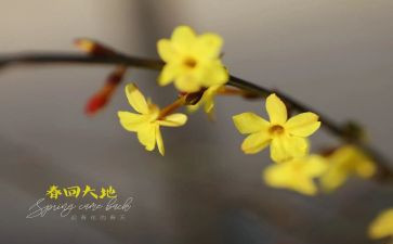 幼儿园小班2月份工作总结8篇