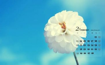 2024年2月工作计划5篇