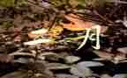 2月的工作计划优秀6篇