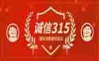 315系列活动总结模板7篇