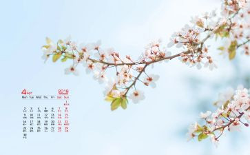 幼儿园小班4月份工作总结8篇