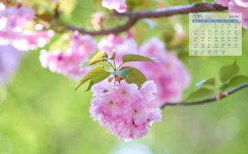 4月份安全生产月工作总结6篇