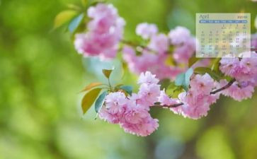 4月爱国卫生月总结6篇