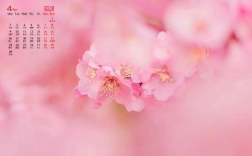 2024年4月工作计划优质8篇