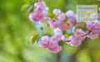 4月爱国卫生月总结6篇
