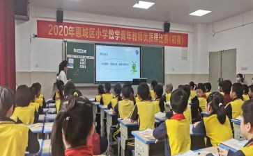 单双数教案精选6篇