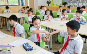 单双数教案5篇