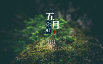 中班5月周工作计划6篇