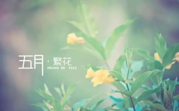 团5月工作总结7篇