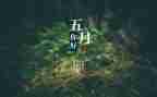 中班5月周工作计划6篇