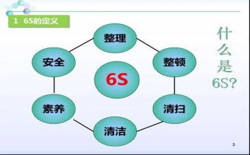 6s的心得体会模板7篇