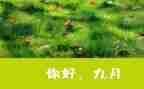 9月份销售工作总结5篇