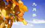 小班9月份工作总结参考6篇
