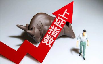 a股调查报告模板6篇