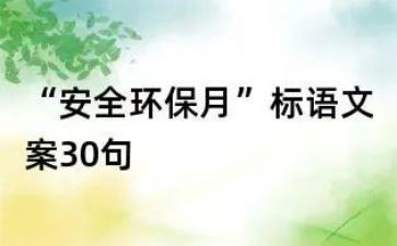 2024年安环工作计划7篇