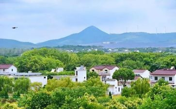 安徽中考2024作文5篇