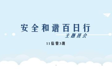 村安全百日行动工作总结5篇