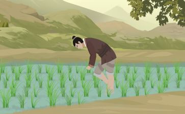 读后感拔苗助长读后感精选8篇