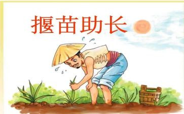 拔苗助长读后感最新5篇