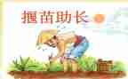 拔苗助长读后感最新5篇