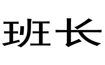 保安班长年终工作总结范文8篇