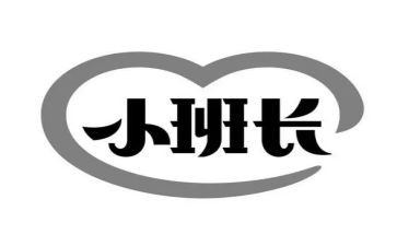 2024年保安班长年终总结6篇