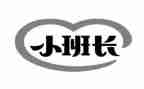 2024年保安班长年终总结6篇