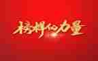 榜样旗心得体会模板6篇