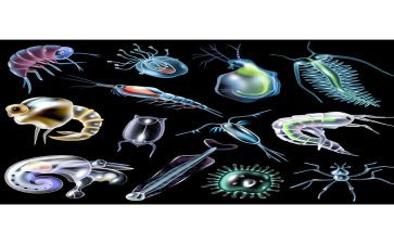 高二上学期生物工作总结5篇