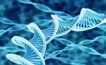 生物专业毕业实习报告5篇