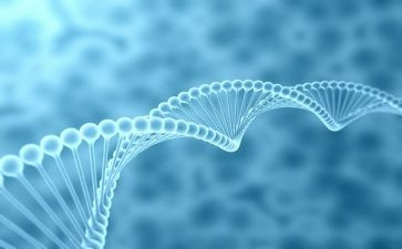 多样的生物教案5篇