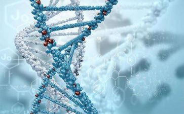生物教案模板7篇