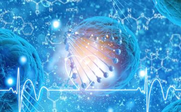 八上生物实验工作总结推荐5篇