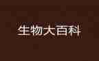 学生物课心得体会8篇