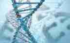 生物组教研工作总结5篇