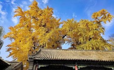 ____伴随我作文推荐7篇