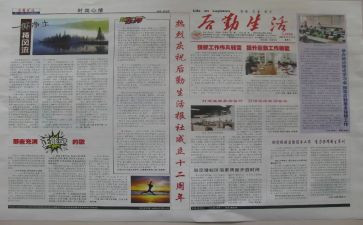 2024年报社记者年终总结8篇