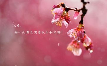 八月工作总结优质6篇