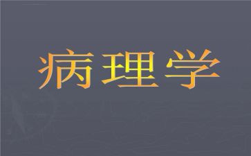 病理科月工作计划7篇