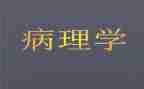 病理科月工作计划优秀7篇