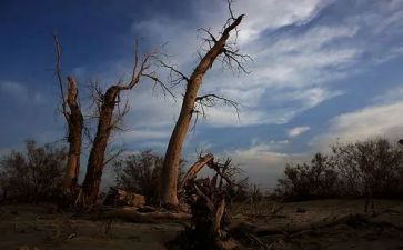 不朽的作文推荐5篇