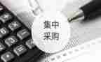 零采购述职报告推荐6篇